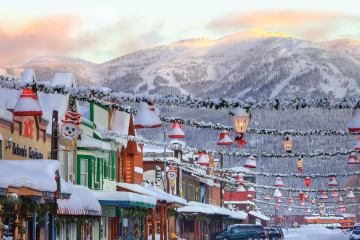 Whitefish